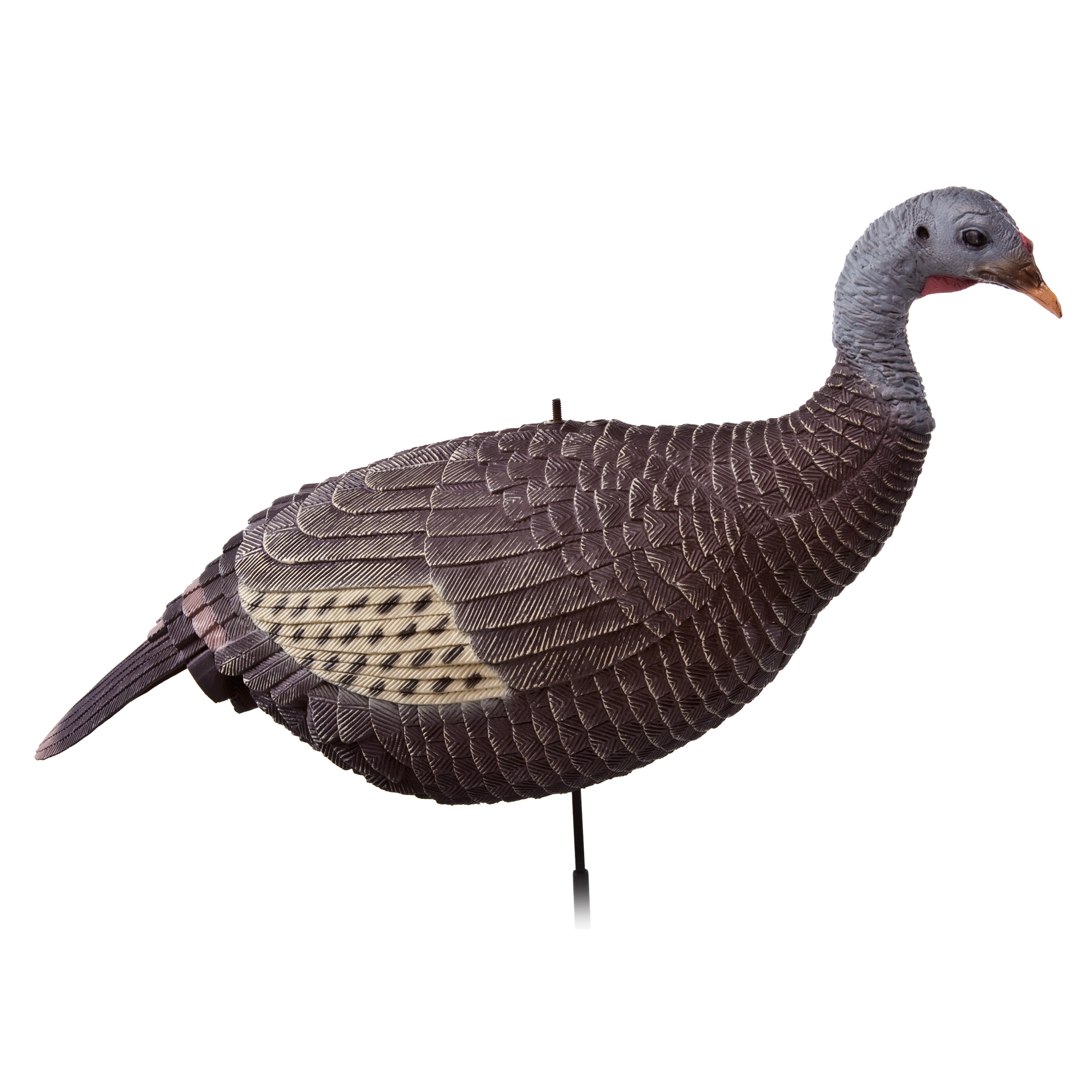 RedHead Turkey Decoy Upright Relaxed Hen Cabela's